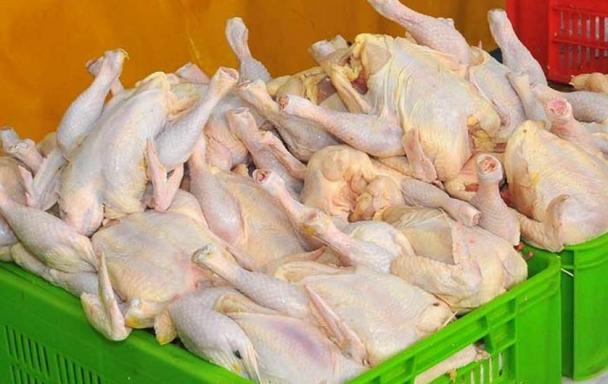کاهش نرخ مرغ در بازار/ تعیین تکلیف قیمت مرغ باز هم به تعویق افتاد