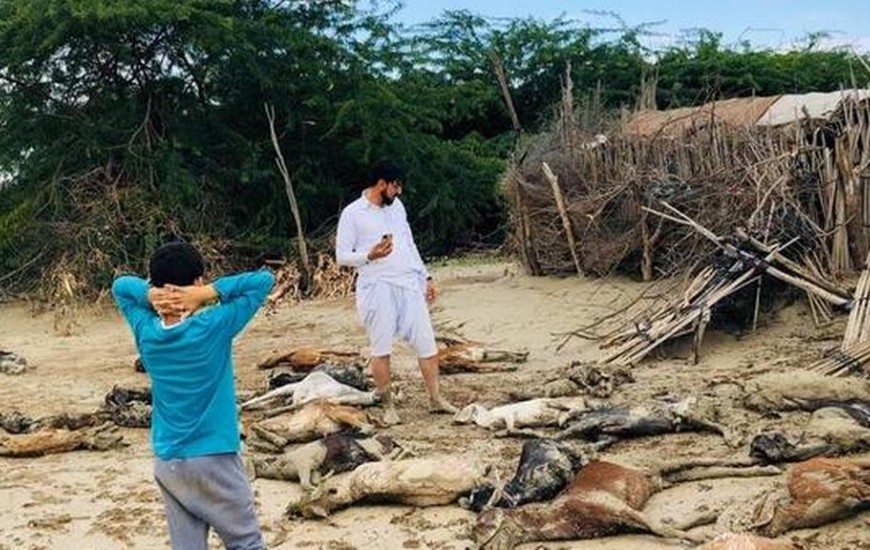 خسارت میلیاردی به بخش کشاورزی زرآباد کنارک بر اثر سیلاب