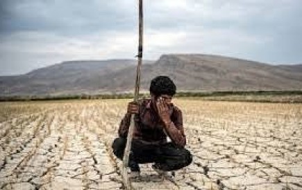 خسارت 1220 میلیارد تومانی به بخش کشاورزی سیستان و بلوچستان در پی خشکسالی‌های اخیر