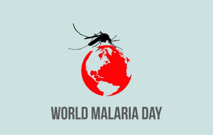 برگزاری اولين همایش کشوری برنامه حذف مالاریا در چابهار/ بازدید مدير مالاريا مديترانه شرقي از مراكز خدمات جامع سلامت چابهار