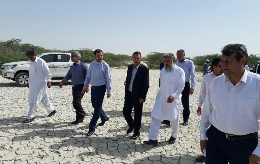 گزارش تصویری/ بازدید رئیس سازمان حفظ نباتات کشور از مناطق آلوده ملخ صحرایی شهرستان‌کنارک