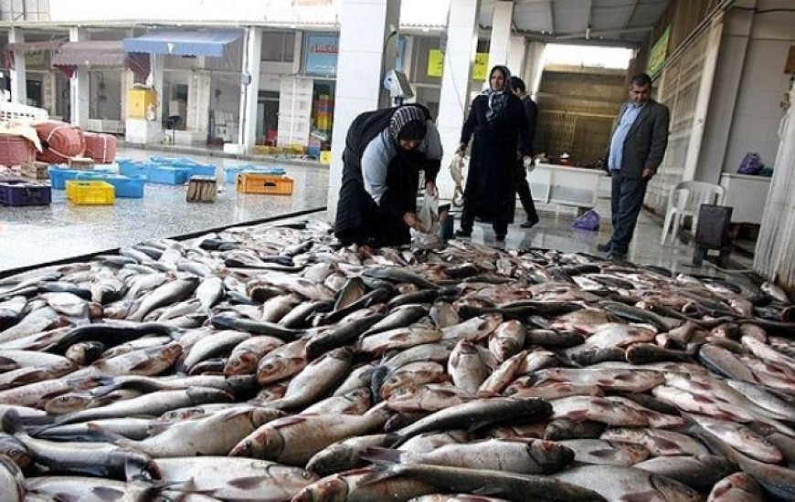 نصب تابلوی الکترونیکی در بازار ماهی فروشان چابهار الزامی شد